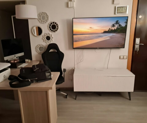 Salón antes, La Pineda